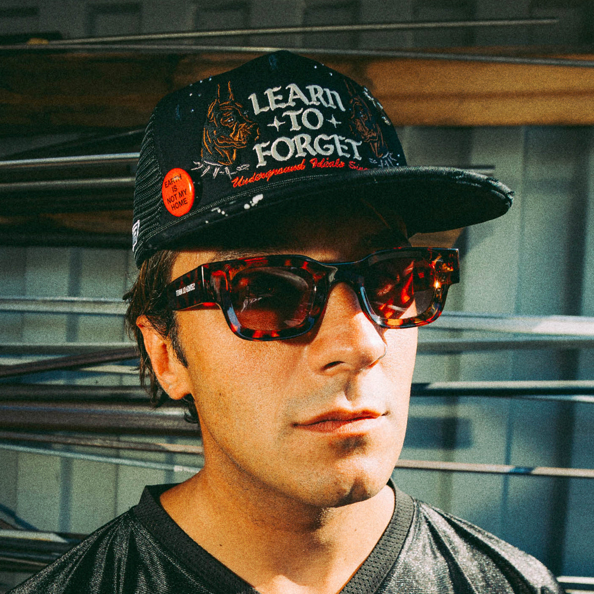 Angeles Sunglasses (Brown)